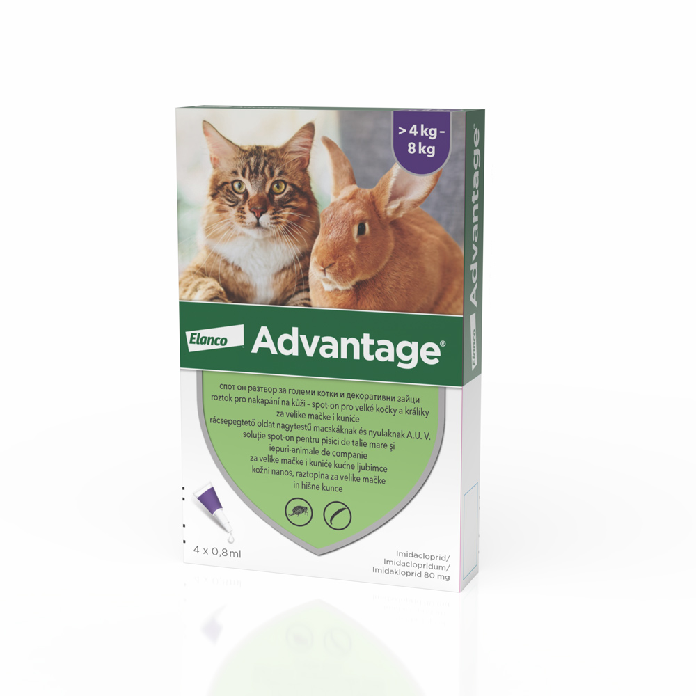 Advantage 80 4pip