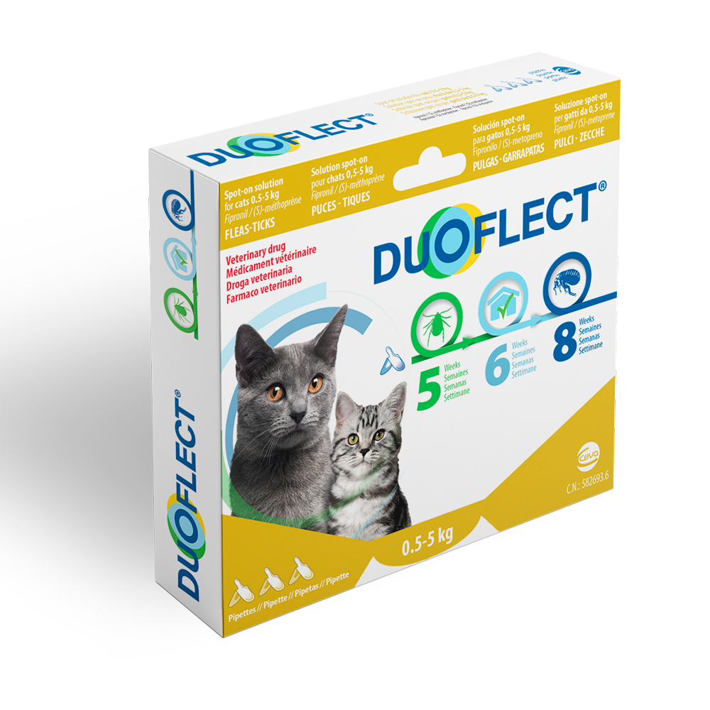 Duoflect pipete antiparazitare pentru pisici 0,5–5 kg, 3 pipete