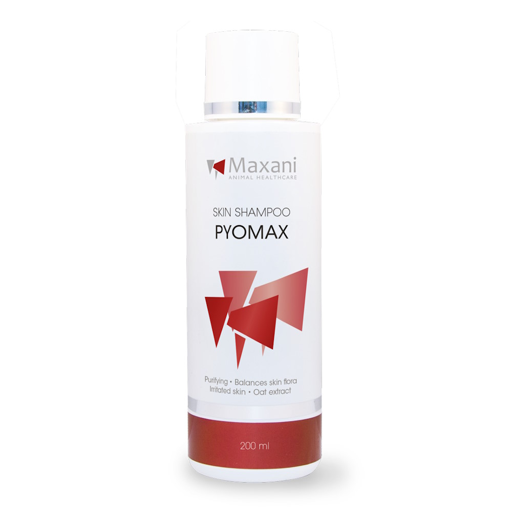 Șampon Maxani PyoMax pentru piele, 200 ml