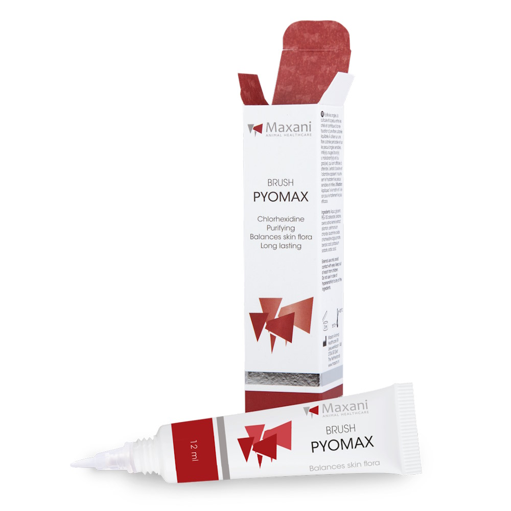 Maxani PyoMax perie cu soluție pentru zone greu accesibile, 12 ml