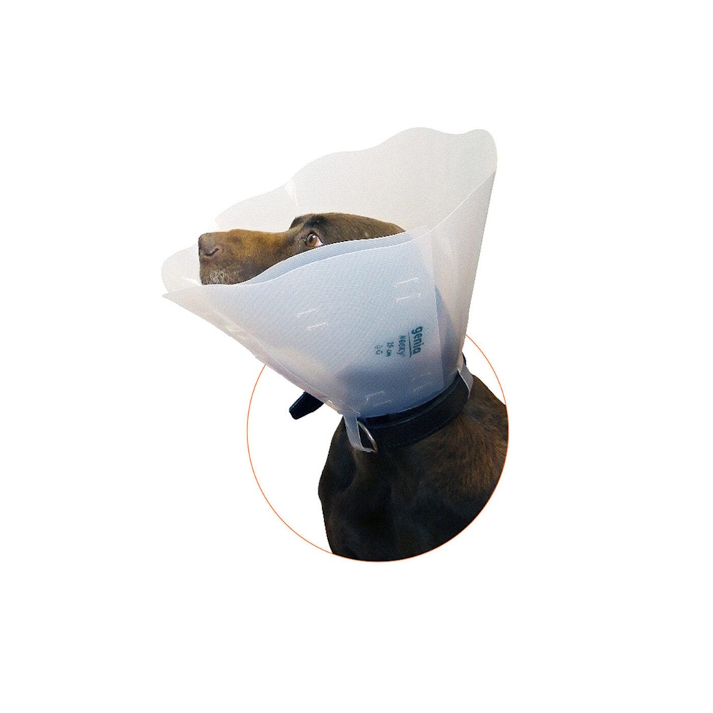Colier protectie 35cm Smocky