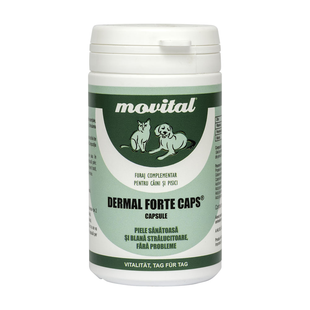 Dermal Forte capsule pentru piele și blană, 100 capsule